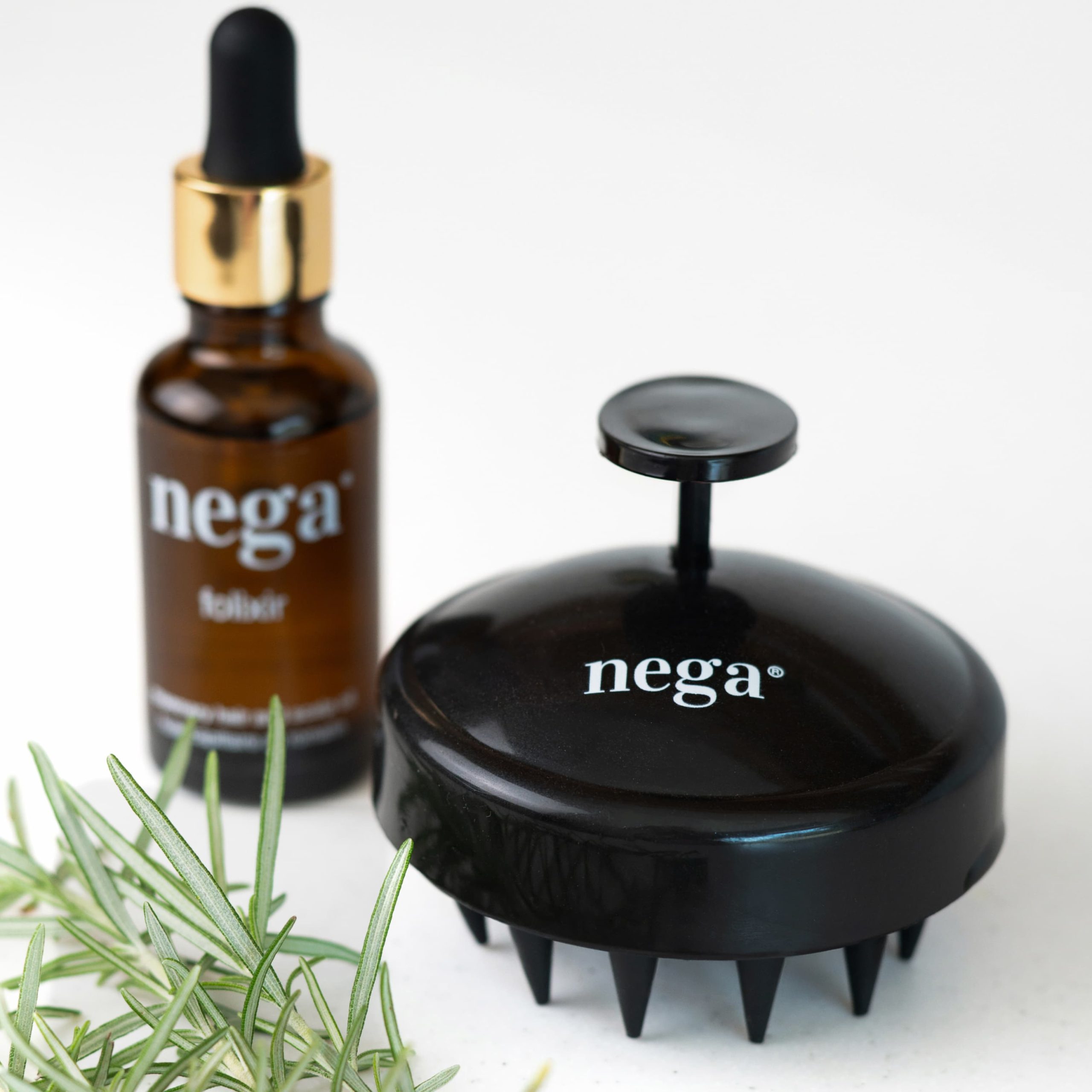 Ključne značilnosti: